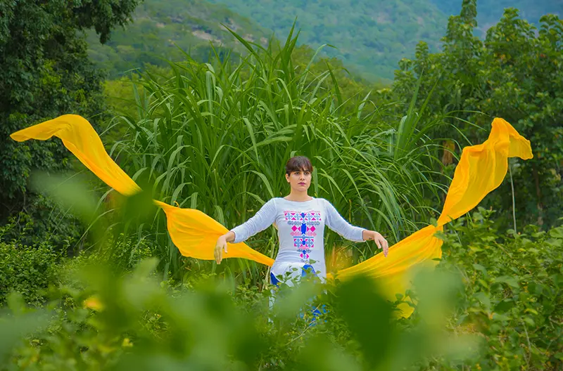 Stages of Practice - image